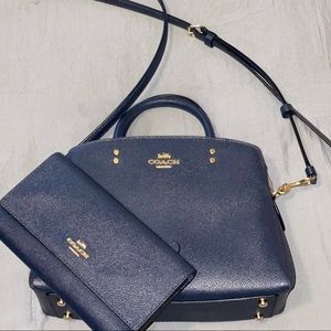 Coach Lillie Carryall Purse & Wallet Set